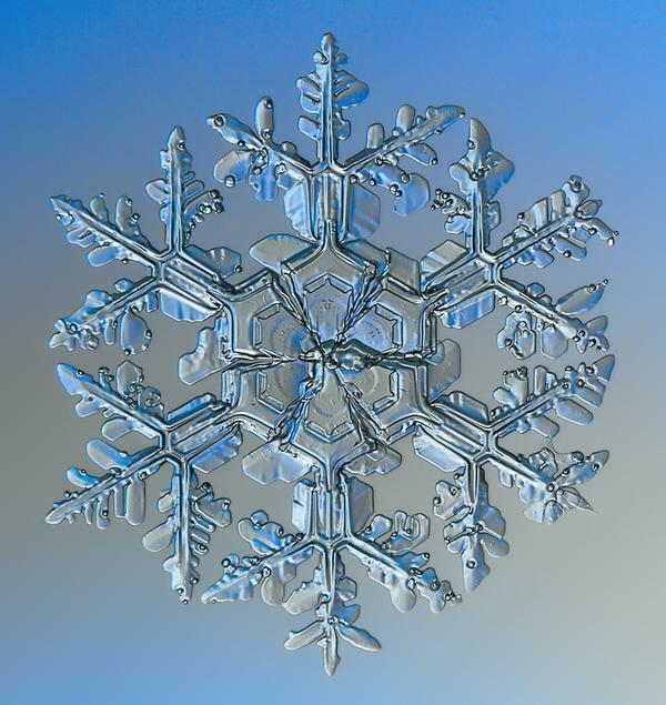 A beautiful picture showing the formation of a transparent snowflake.