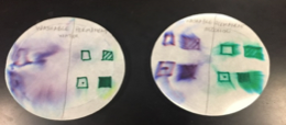 filter paper after added water (left circle); the paper with added alcohol (right)