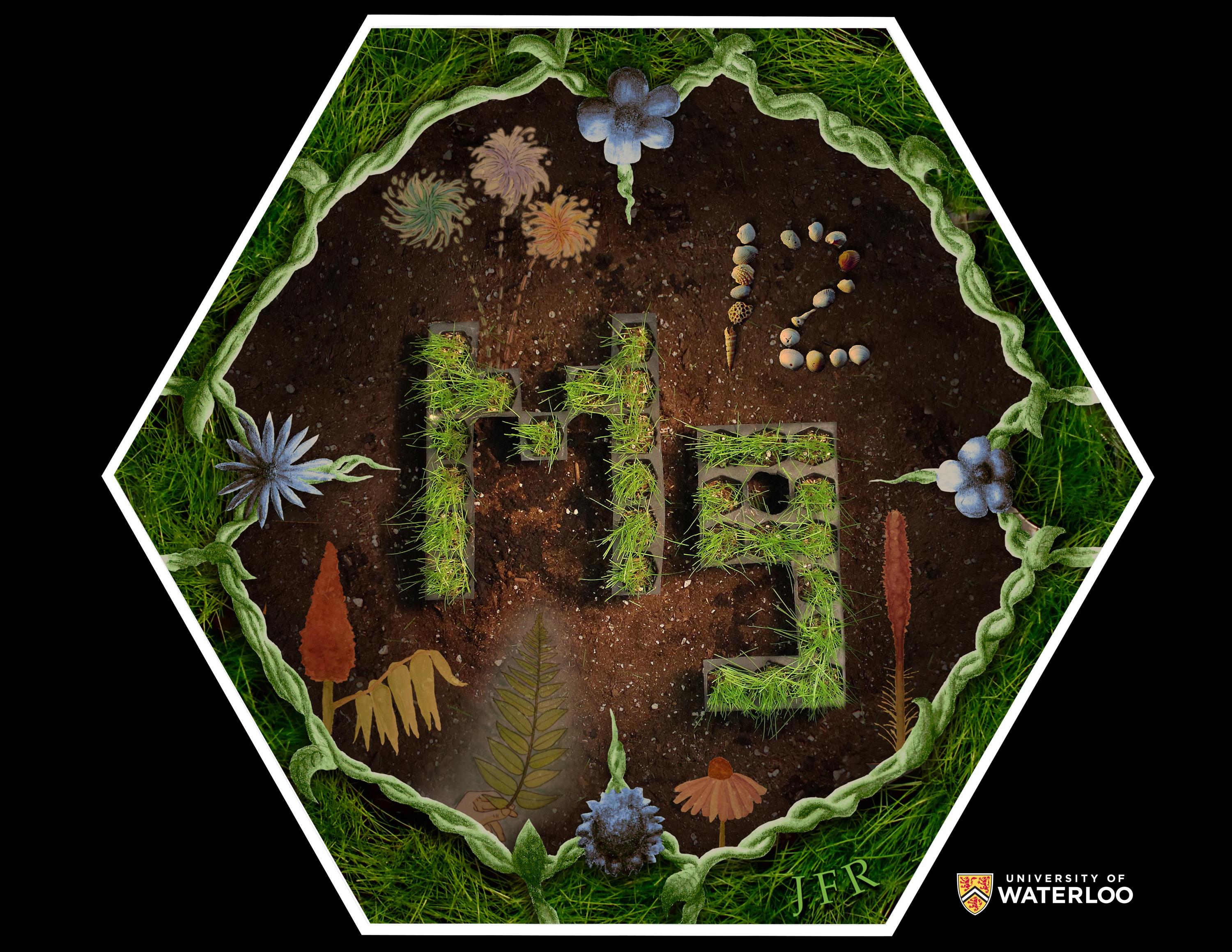 Digital composite of photos and illustrations. Chemical symbol “Mg” spelled out in pots of grass. Atomic number “12” spelled out in shells. The background is soil and surrounding illustrations include plants, flowers, grass and vines.