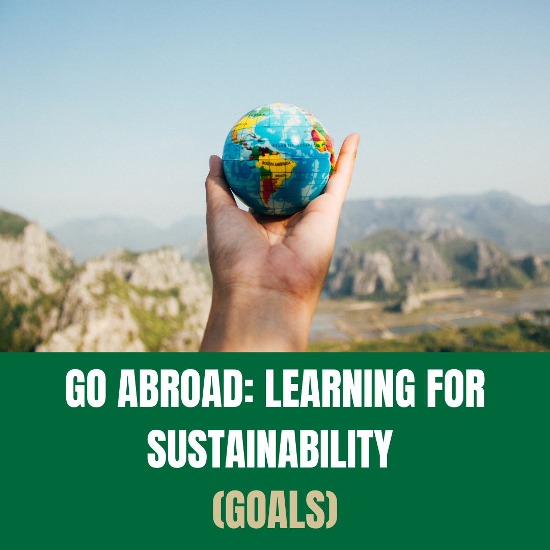 hand with a globe in it go abroad learning for sustainability goals square icon