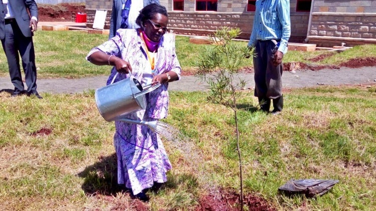 Woman watering a sapling