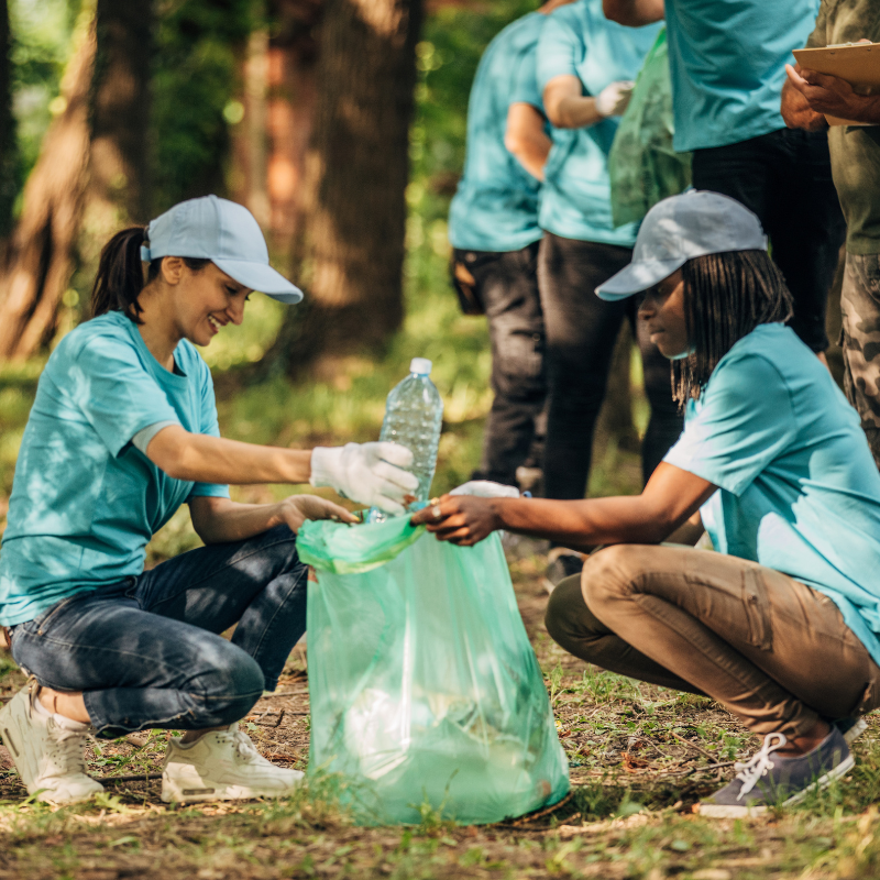 People collecting plastic waste in a forest