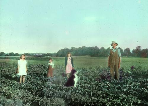 A father, children and dog in a field near Kitchener, Ontario in the 1940s. This black and white photo has been colourized. 