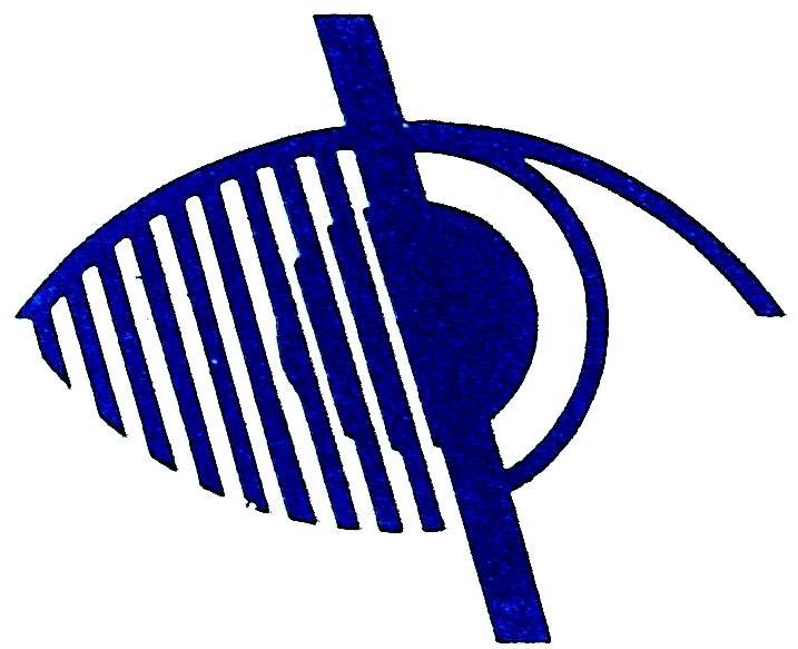 Centre for Sight Enhancement logo
