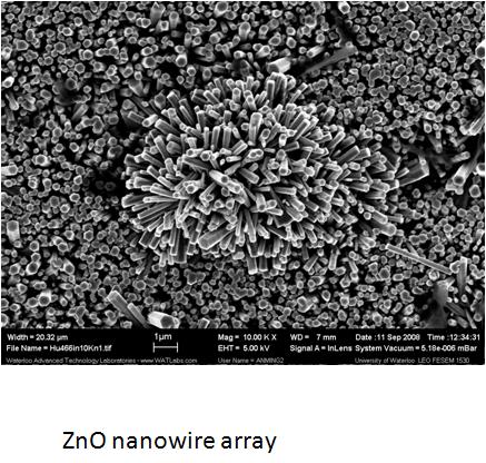 Zinc oxide nanowire array