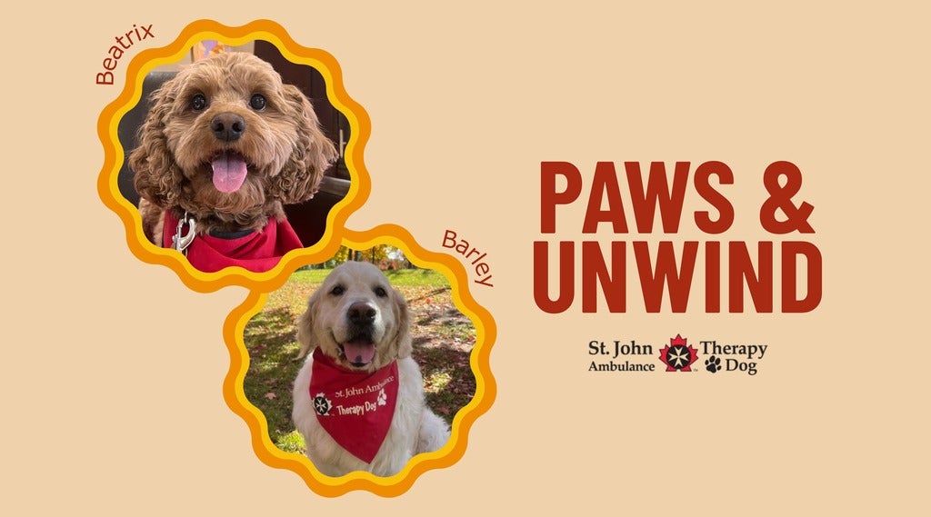 Therapy Dog Graphic